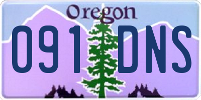 OR license plate 091DNS