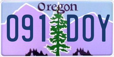 OR license plate 091DOY
