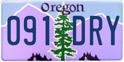 OR license plate 091DRY