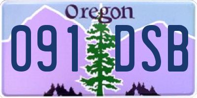 OR license plate 091DSB