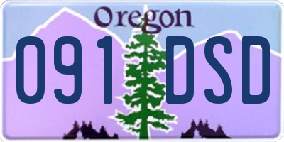 OR license plate 091DSD