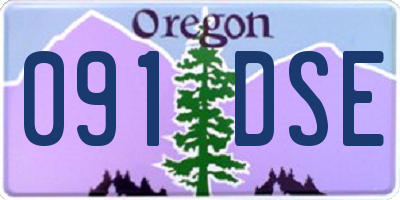 OR license plate 091DSE