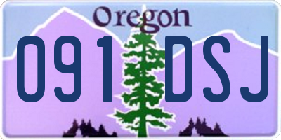 OR license plate 091DSJ