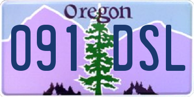 OR license plate 091DSL
