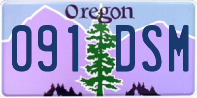 OR license plate 091DSM