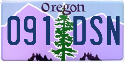 OR license plate 091DSN