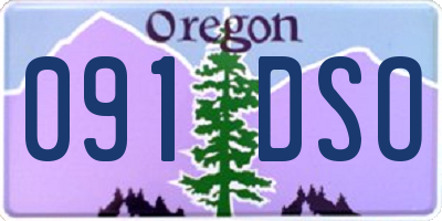 OR license plate 091DSO