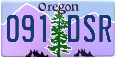 OR license plate 091DSR