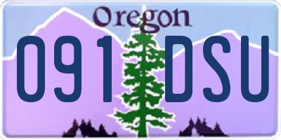 OR license plate 091DSU