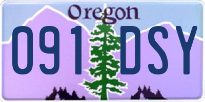 OR license plate 091DSY