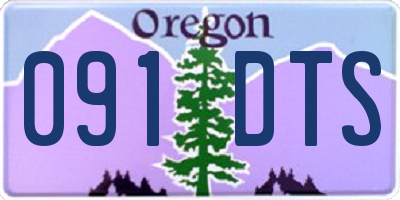 OR license plate 091DTS