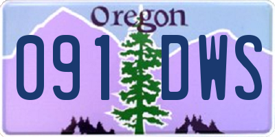 OR license plate 091DWS