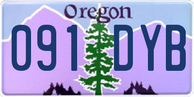 OR license plate 091DYB