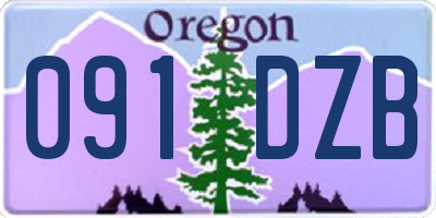 OR license plate 091DZB