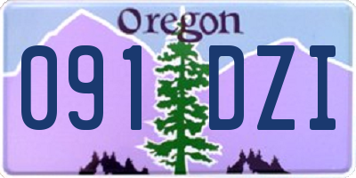 OR license plate 091DZI