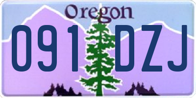 OR license plate 091DZJ