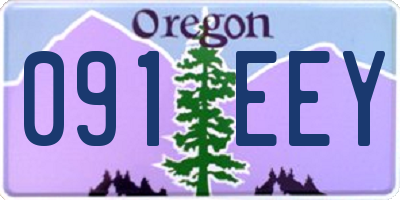 OR license plate 091EEY