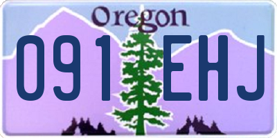 OR license plate 091EHJ