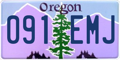 OR license plate 091EMJ