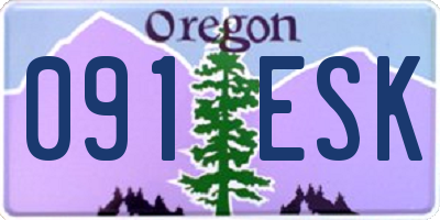 OR license plate 091ESK