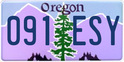 OR license plate 091ESY