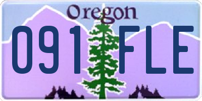 OR license plate 091FLE