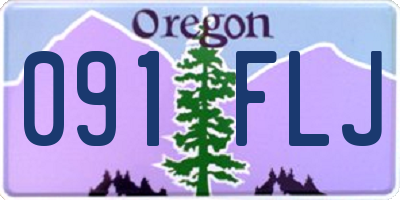 OR license plate 091FLJ