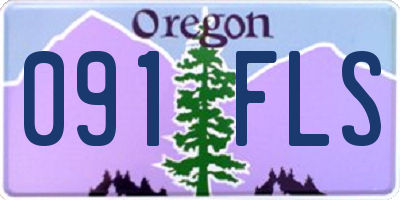 OR license plate 091FLS