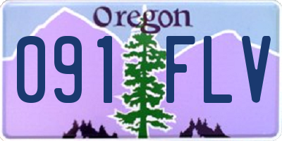 OR license plate 091FLV