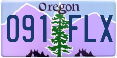 OR license plate 091FLX