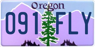 OR license plate 091FLY