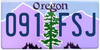 OR license plate 091FSJ