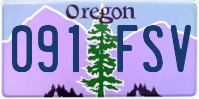 OR license plate 091FSV
