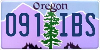 OR license plate 091IBS