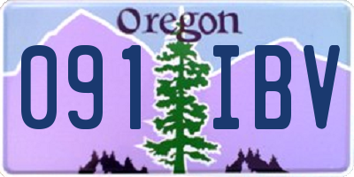 OR license plate 091IBV