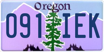 OR license plate 091IEK