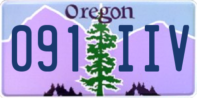 OR license plate 091IIV
