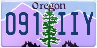OR license plate 091IIY