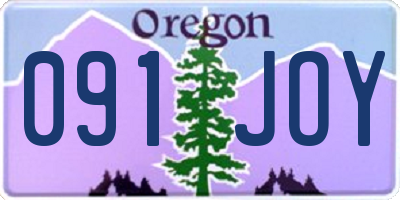 OR license plate 091JOY