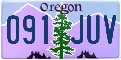 OR license plate 091JUV