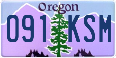OR license plate 091KSM