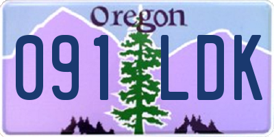 OR license plate 091LDK