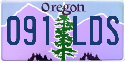 OR license plate 091LDS