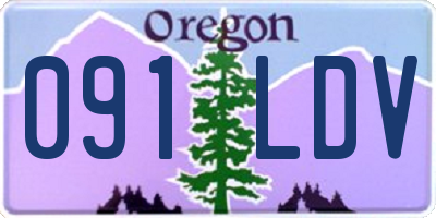 OR license plate 091LDV