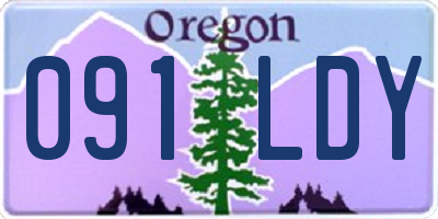 OR license plate 091LDY