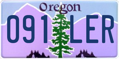 OR license plate 091LER