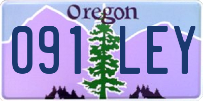 OR license plate 091LEY