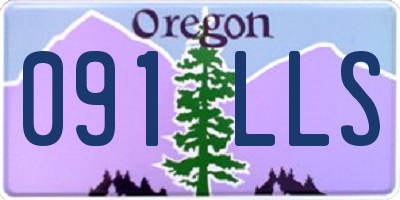 OR license plate 091LLS