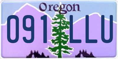 OR license plate 091LLU