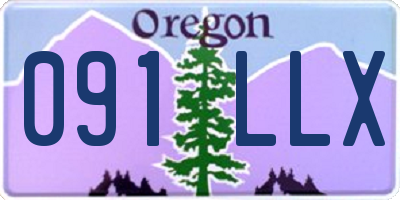 OR license plate 091LLX